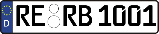 RE-RB1001