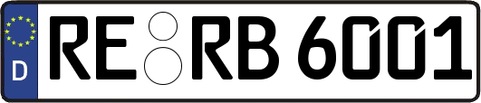RE-RB6001