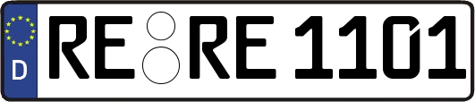 RE-RE1101