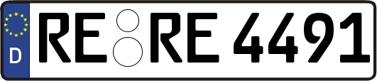 RE-RE4491