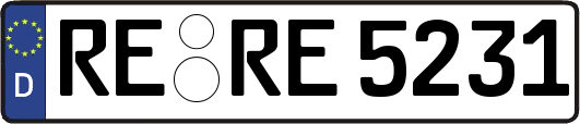 RE-RE5231
