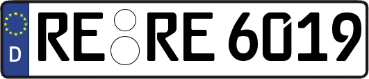 RE-RE6019