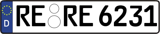 RE-RE6231