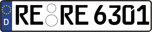 RE-RE6301