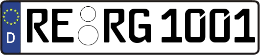 RE-RG1001
