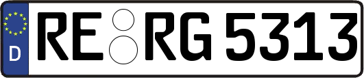 RE-RG5313