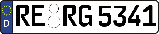 RE-RG5341