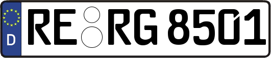 RE-RG8501