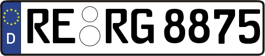 RE-RG8875