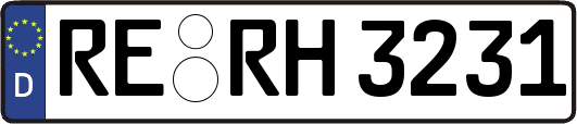 RE-RH3231