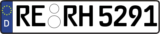 RE-RH5291