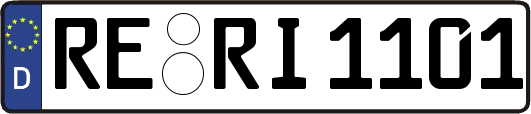 RE-RI1101