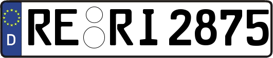 RE-RI2875