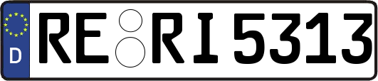 RE-RI5313