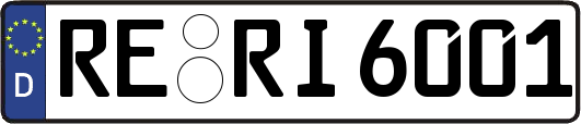 RE-RI6001