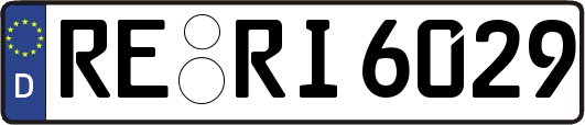 RE-RI6029