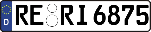 RE-RI6875
