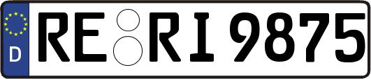 RE-RI9875