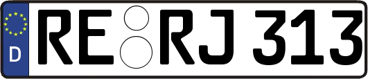 RE-RJ313