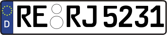 RE-RJ5231