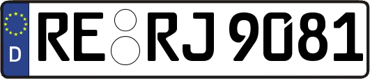 RE-RJ9081