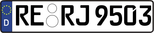 RE-RJ9503