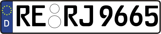 RE-RJ9665