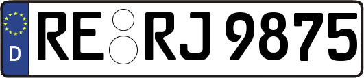 RE-RJ9875