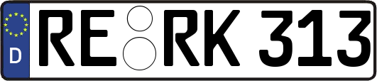 RE-RK313