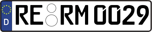 RE-RM0029