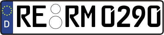 RE-RM0290