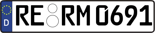 RE-RM0691