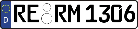 RE-RM1306