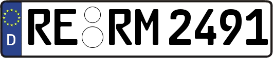 RE-RM2491
