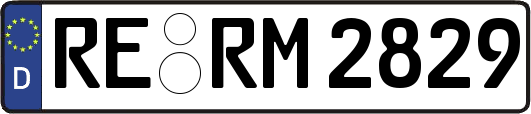 RE-RM2829