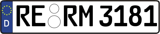 RE-RM3181