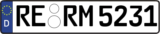 RE-RM5231