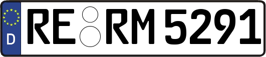 RE-RM5291