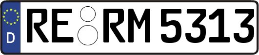 RE-RM5313
