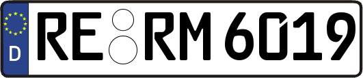 RE-RM6019