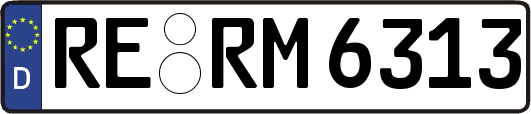 RE-RM6313