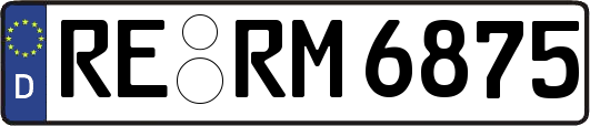 RE-RM6875