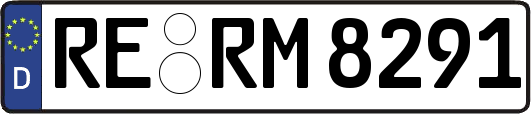 RE-RM8291