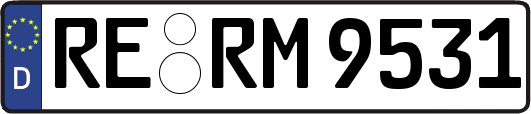 RE-RM9531