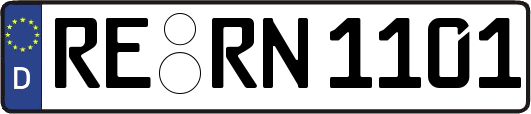 RE-RN1101
