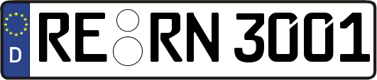 RE-RN3001
