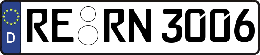 RE-RN3006