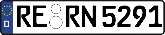 RE-RN5291