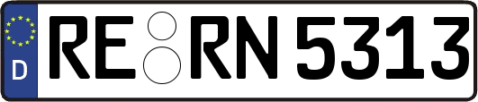 RE-RN5313