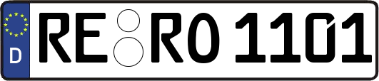 RE-RO1101